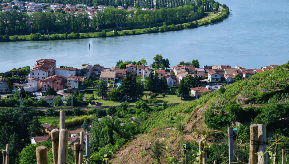 Immobilier Condrieu